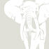 THE WHITE ELEPHANT ALBUM