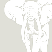 THE WHITE ELEPHANT ALBUM