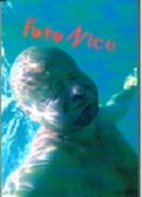 FOTO NICE
