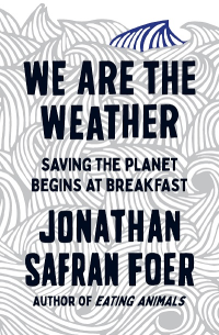 WE ARE THE WEATHER