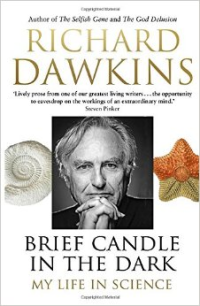 BRIEF CANDLE IN THE DARK