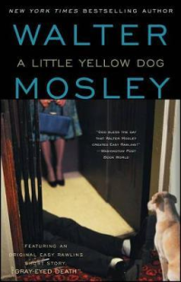 A LITTLE YELLOW DOG
