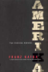 AMERIKA - THE MISSING PERSON