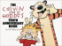 CALVIN AND HOBBES TREASURY 05 (SC) - TENTH ANNIVERSARY BOOK
