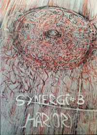 SYNERGI NR. 03 - HÅR(OR)