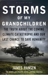 STORMS OF MY GRANDCHILDREN