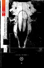 THE BLACK MONDAY MURDERS 01 - ALL HAIL, GOD MAMMON