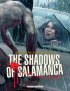 THE SHADOWS OF SALAMANCA