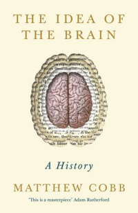 THE IDEA OF THE BRAIN