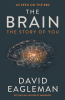 THE BRAIN