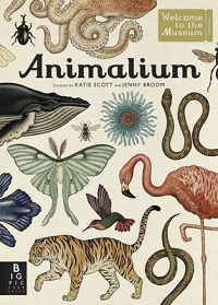 ANIMALIUM