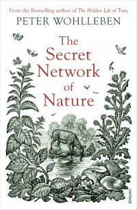 THE SECRET NETWORK OF NATURE