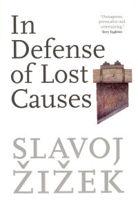 IN DEFENSE OF LOST CAUSES (PB)