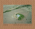 TOPOGRAPHIES