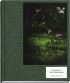 DES OISEAUX