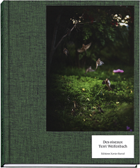 DES OISEAUX