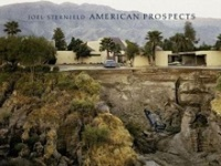 AMERICAN PROSPECTS
