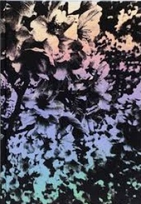 DAIDO MORIYAMA: ANGO