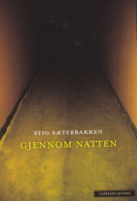 GJENNOM NATTEN