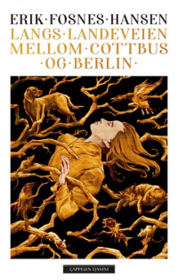 LANGS LANDEVEIEN MELLOM COTTBUS OG BERLIN