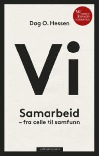 VI