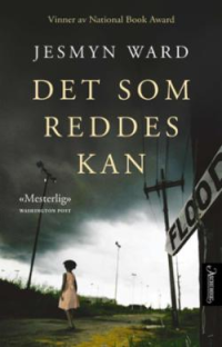 DET SOM REDDES KAN