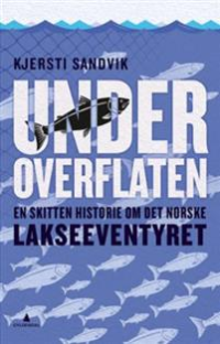 UNDER OVERFLATEN