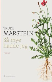 SÅ MYE HADDE JEG