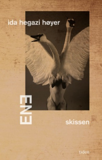 ENE: SKISSEN