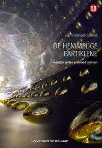 DE HEMMELIGE PARTIKLENE