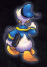 DONALD DUCK - DEN STORE BOKEN