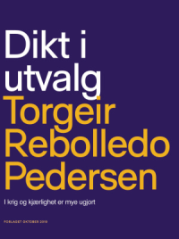 DIKT I SAMLING