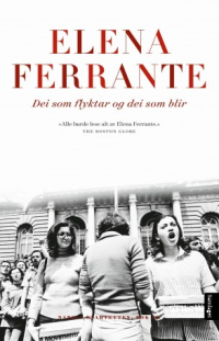 DEI SOM FLYKTAR OG DEI SOM BLIR