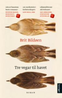 TRE VEGAR TIL HAVET