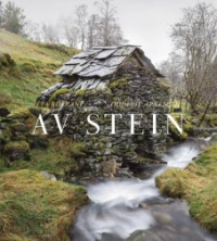 AV STEIN