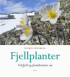 FJELLPLANTER