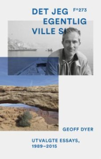 DET JEG EGENTLIG VILLE SI