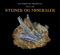 TETT PÅ STEINER OG MINERALER