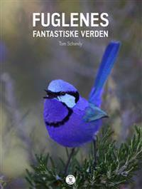 FUGLENES FANTASTISKE VERDEN