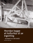 HVORDAN BYGGE ET KULTURHUS UT AV INGENTING