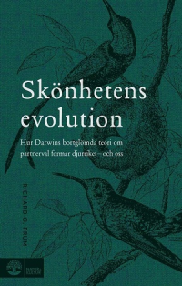 SKÖNHETENS EVOLUTION